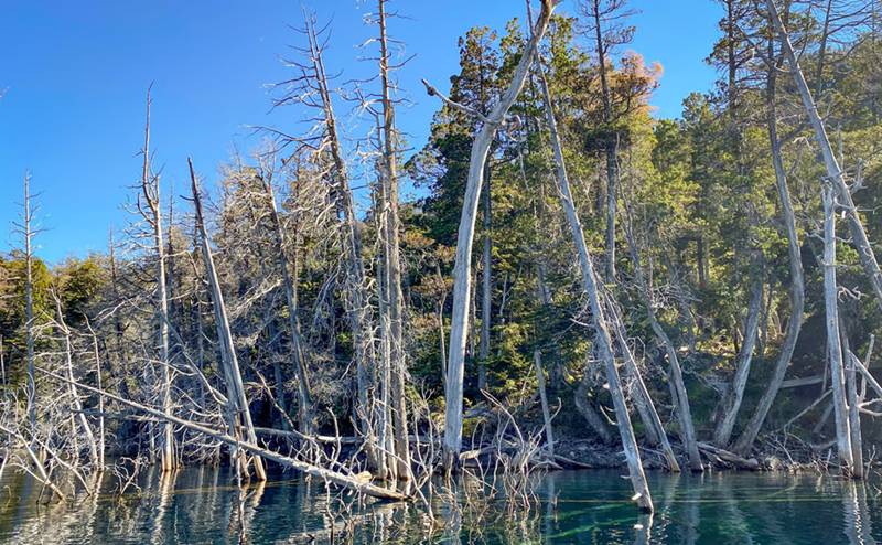 o que fazer na patagônia argentina
